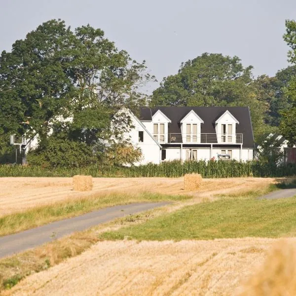 齐斯特亚尔登住宿加早餐酒店，位于Skælskør的酒店