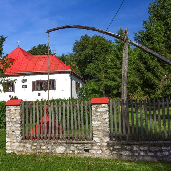 Vén Diófa Kúria，位于Nagyvisnyó的酒店