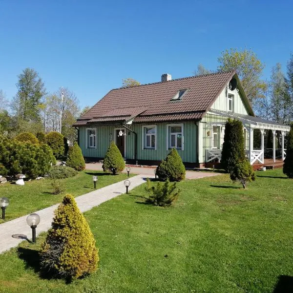 Rähni Guesthouse Lake Peipsi，位于Vilusi的酒店