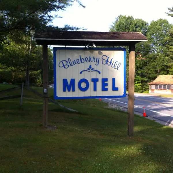 Blueberry Hill Motel，位于Long Lake的酒店