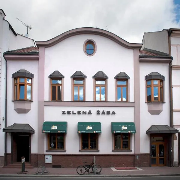 泽拉纳扎巴旅馆，位于Rozhovice的酒店