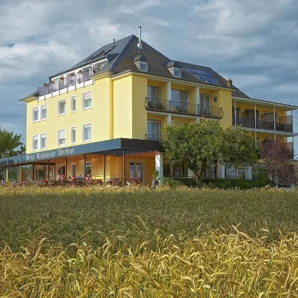 彼列克普酒店，位于Dillingen的酒店