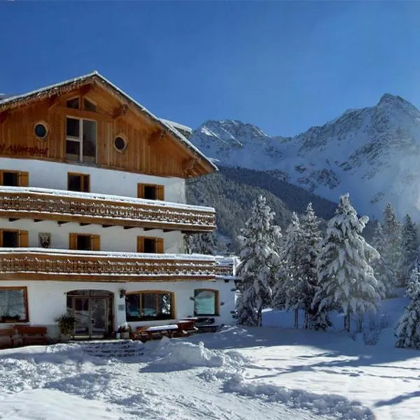 Hotel Alpenhof，位于索尔达的酒店