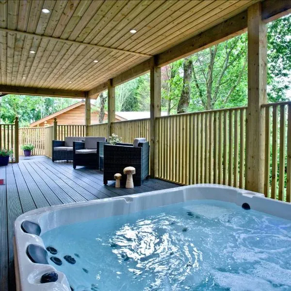 Cedar Lodge, South View Lodges, Exeter，位于Clyst Saint Mary的酒店