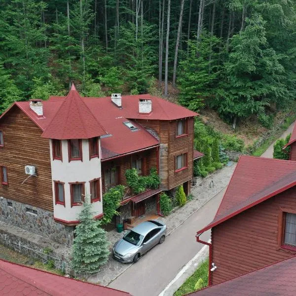 Elf-cottage，位于Antalovtsi的酒店