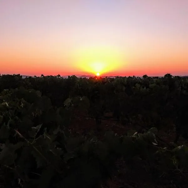 VEN GAVINO，位于Granja Llumes的酒店