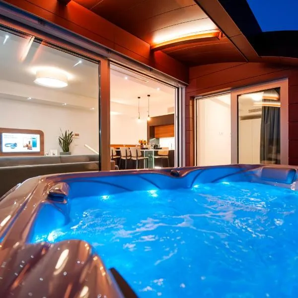 The Q Superior - a penthouse with jacuzzi and sauna，位于罗维尼的酒店