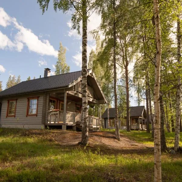 Holiday Village Kukkapää，位于Kaipola的酒店