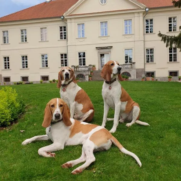 帕拉卡那可米带旅馆，位于Sterławki Wielkie的酒店