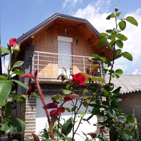 Apartman Darija，位于维尔蒂尼克的酒店