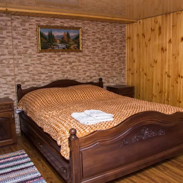 Карпатське сяйво，位于Vizhni Siniyvir的酒店