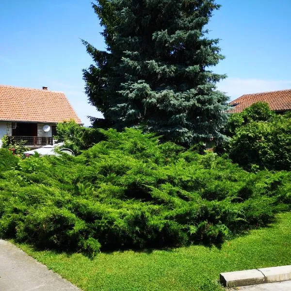 Apartment Dedine Golubac，位于哥鲁拜克的酒店