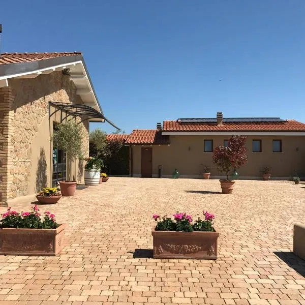 Il Casale degli Ulivi - Agriturismo，位于真扎诺-迪罗马的酒店