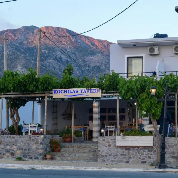 Rooms Kochilas Elafonisi，位于Livadia的酒店