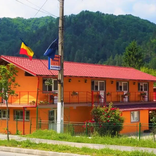 Pensiunea Ramona，位于Ţuţuleşti的酒店