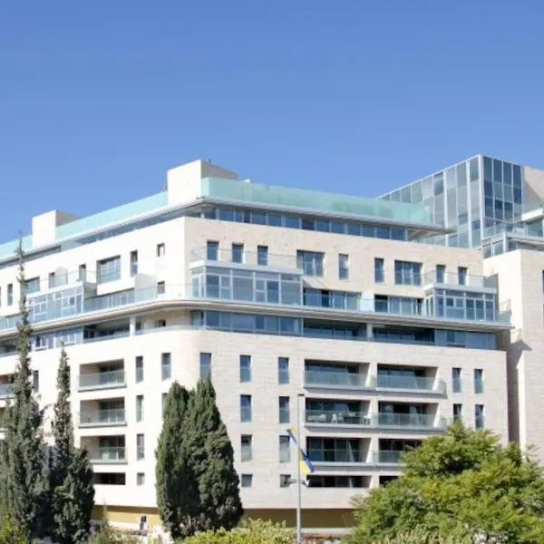 King David Residence Luxury 4 BD/Pool/Gym/Parking，位于耶路撒冷的酒店