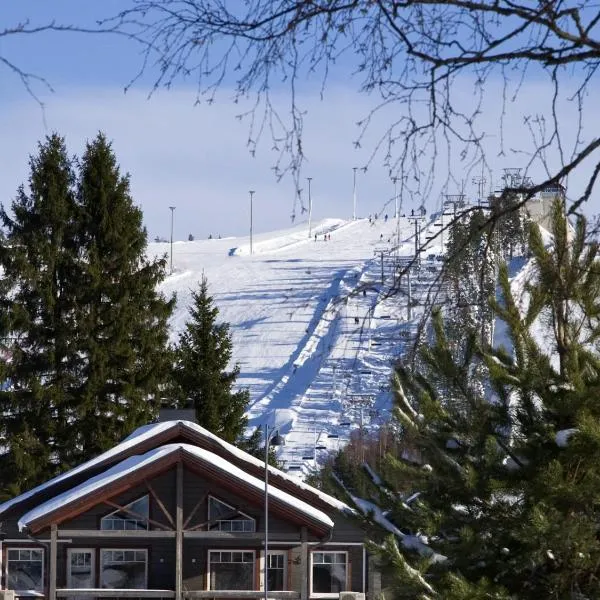 西莫硕维小屋酒店，位于Alhojärvi的酒店