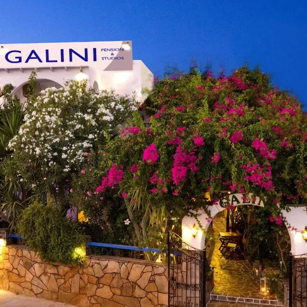 加利尼公寓式酒店，位于Psathi的酒店