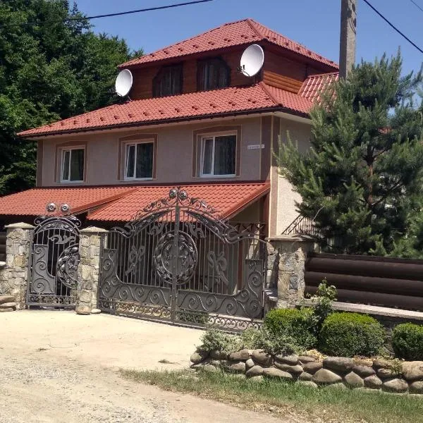 Вишиванка，位于Prokurava的酒店