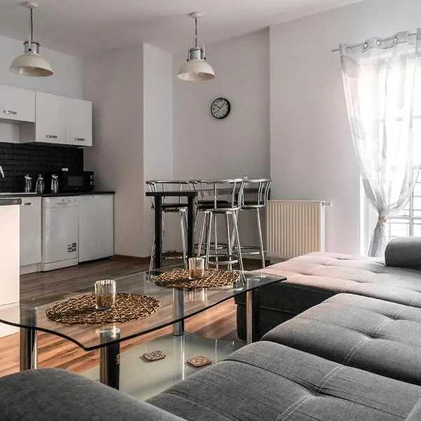 Apartament na Wyspie Piasek，位于Ołdrzychowice Kłodzkie的酒店