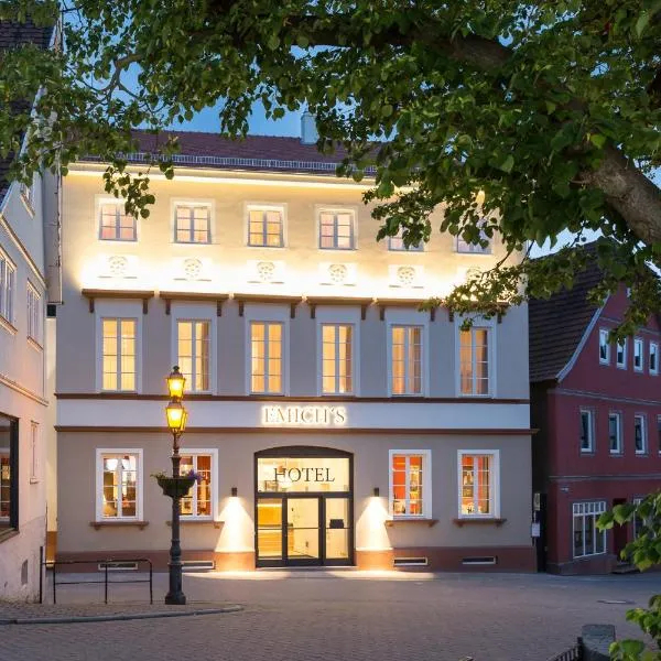 EMICH´S Hotel，位于Rüdenau的酒店