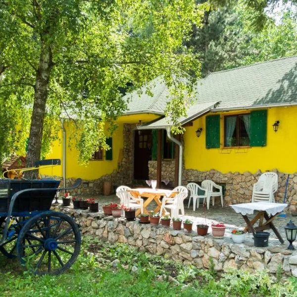 Yellow House by the river，位于Lipovac的酒店