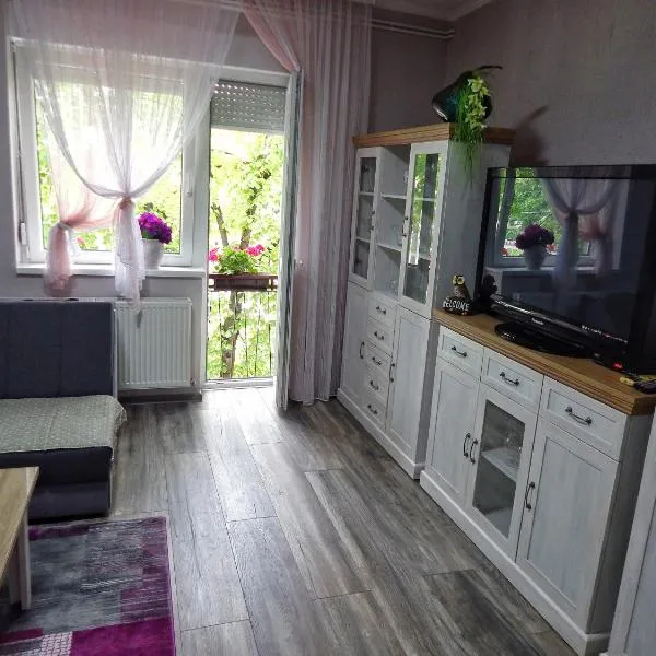 Apartman Centar，位于Gložan的酒店