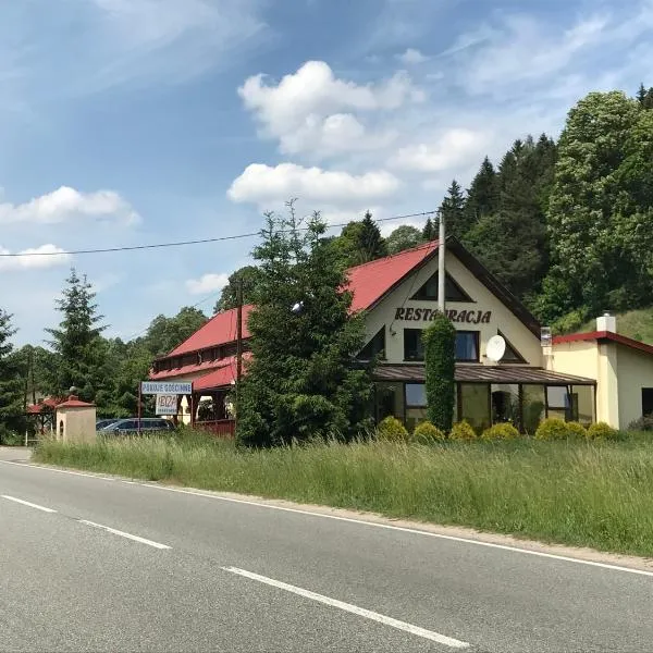 Restauracja IBIZA，位于Ścinawka Górna的酒店