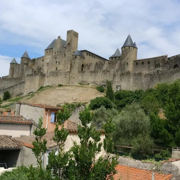 Face à la Cité une vue SUBLIME，位于卡尔卡松的酒店