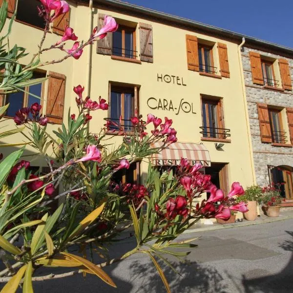 国际之家卡拉索勒，位于Villelongue-dels-Monts的酒店