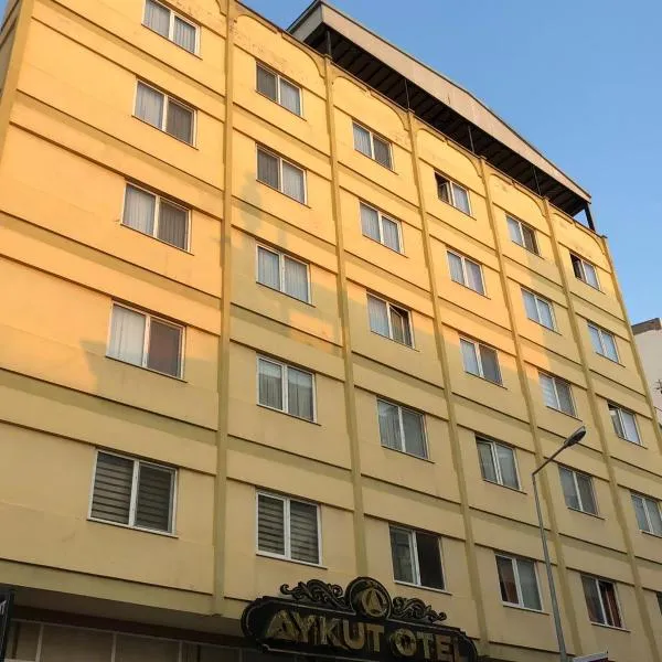 Aykut Palace Otel，位于Uzunaliç的酒店