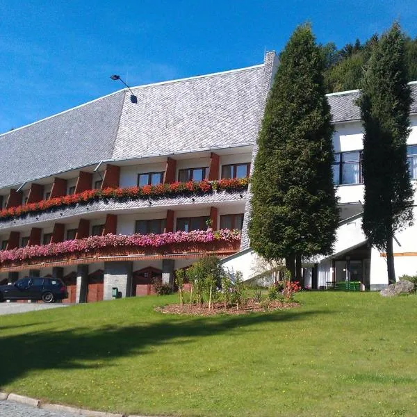 Horský Hotel Neptun，位于Žďárský Potok的酒店