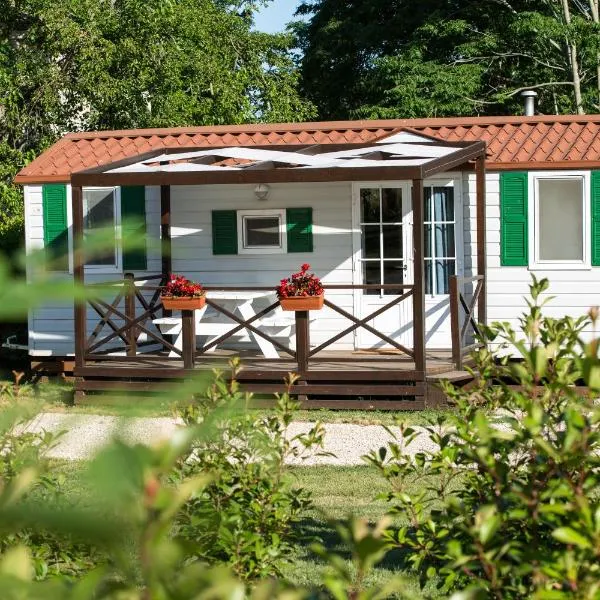 Mobile Homes Dvor，位于Manjadvorci的酒店