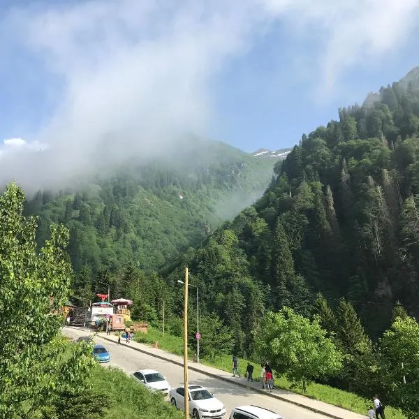 Simal Apart Ev，位于艾德亚耶拉西的酒店