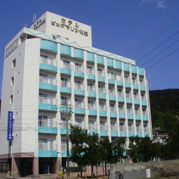 大奄美滨海酒店，位于奄美的酒店