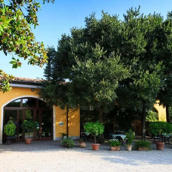 Agriturismo La Montina，位于明乔河畔蓬蒂的酒店