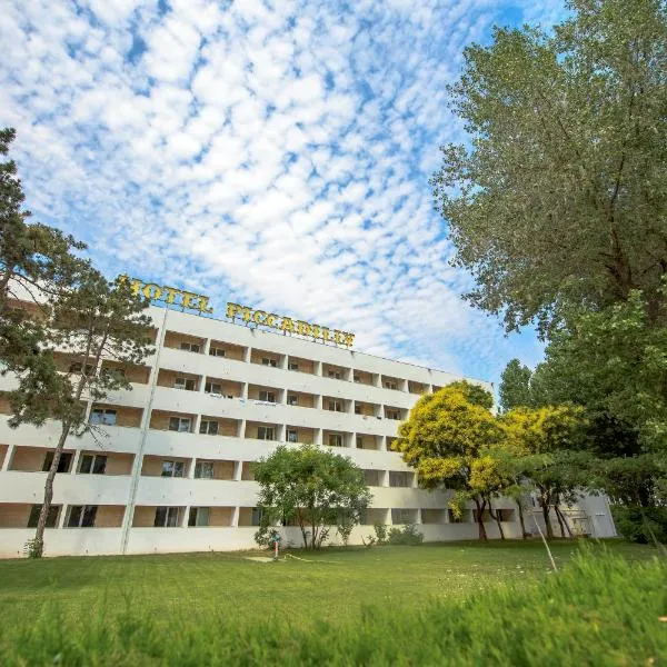 Hotel Piccadilly，位于马马亚的酒店