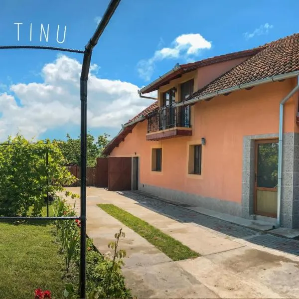 Casa Tinu，位于Sînnicolau Mare的酒店