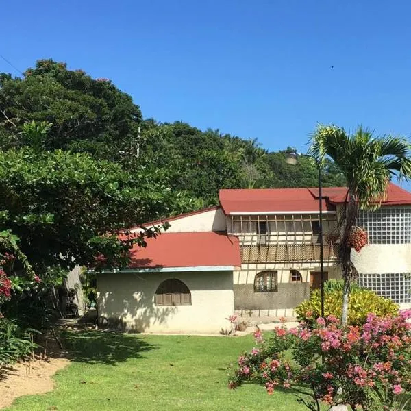 特雷西纳牙买加旅馆，位于Bamboo的酒店