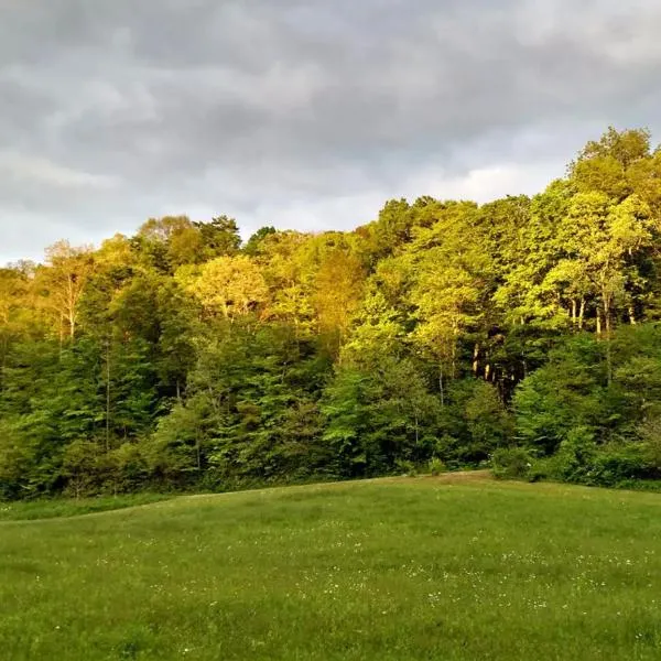 Altenbrauch Farm - Camping in the Hocking Hills，位于South Bloomingville的酒店