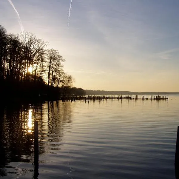 Ferienwohnungen am Werbellinsee，位于绍尔夫海德的酒店