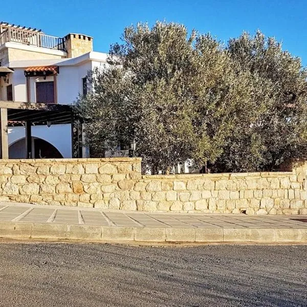 Magnificent Villa in Akamas Peninsula，位于拉基的酒店