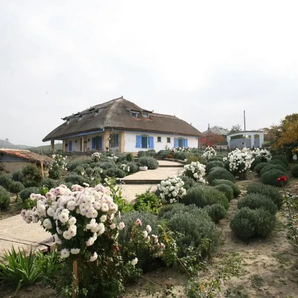 野生多瑙河三角洲旅馆，位于Enisala的酒店