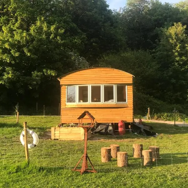 Shepherds Huts Ham Hill, 2 double beds, Bathroom, Lounge, Diner, Kitchen, LOVE dogs & Cats Looking out to lake and by Ham Hill Country Park plus parking for large vehicles available also great deals on workers long term This is the place to relax and BBQ，位于North Perrott的酒店