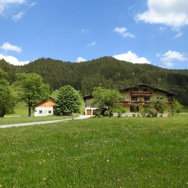 Bauernhof Moar，位于Sankt Aegyd am Neuwalde的酒店