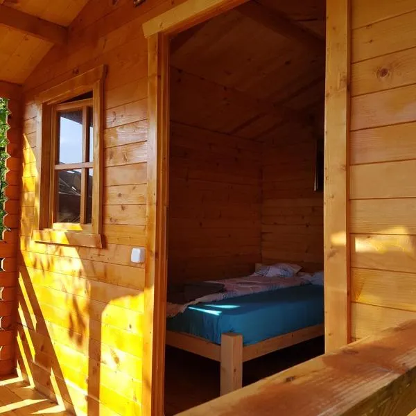 Retezat Retreat - wood cabin，位于Clopotiva的酒店