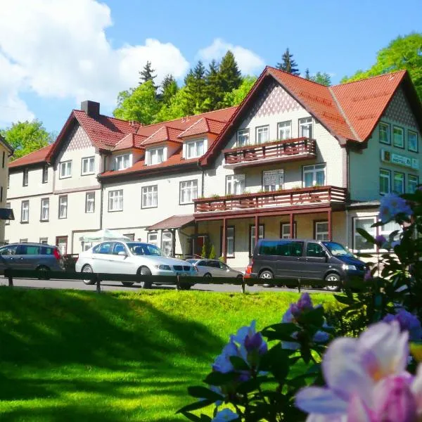 Waldhotel Friedrichroda，位于Cabarz的酒店