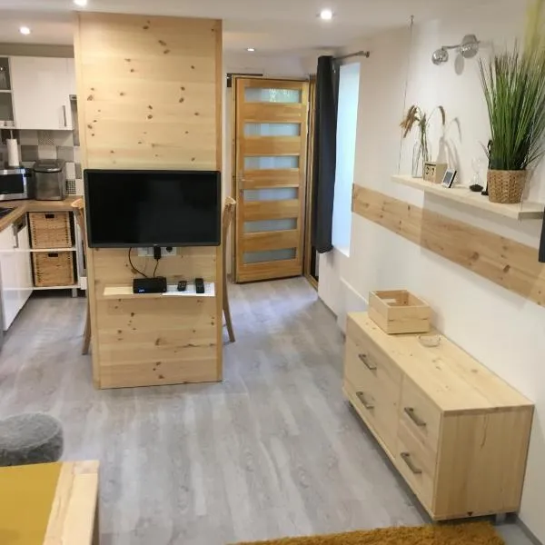 Modern Apartman Deluxe，位于下厄尔什的酒店