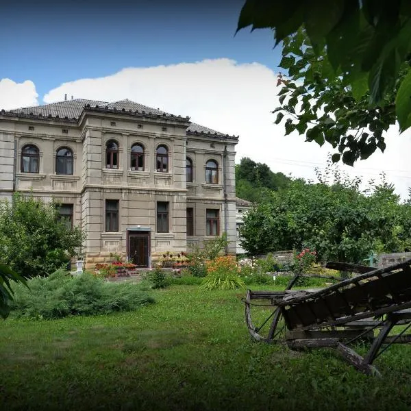 Country house Dunjin Konak，位于Crnomasnica的酒店