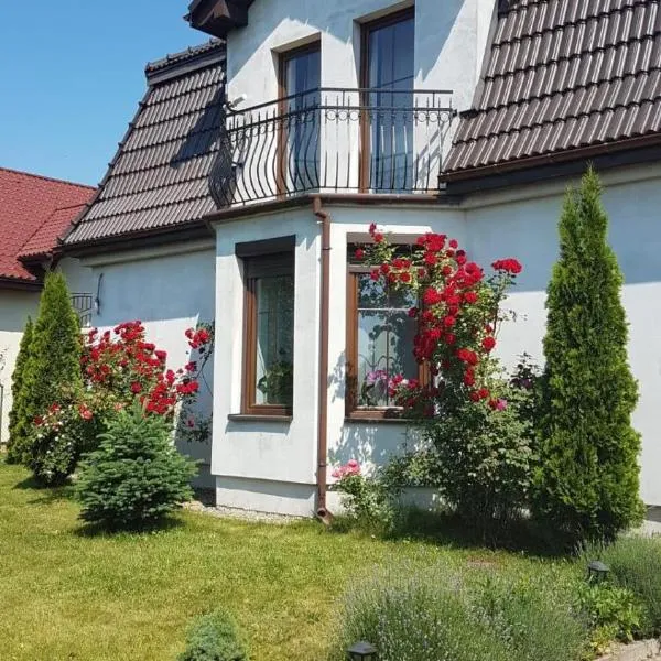 Apartament STUDIO i Apartament ZADOMEK Spytkowice koło ZATORA，位于Przybradz的酒店